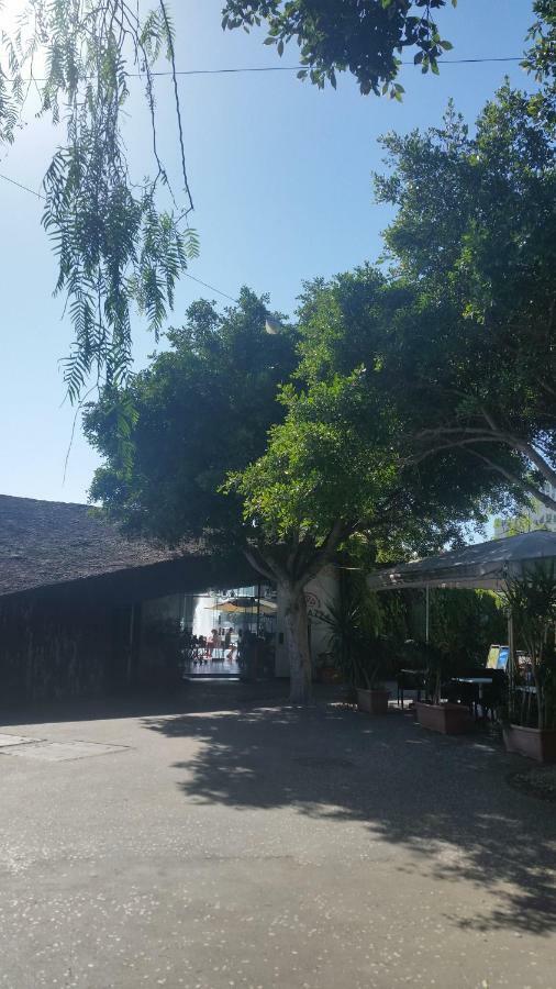 Habitacion Con Bano Privado Santa Cruz de Tenerife Kültér fotó